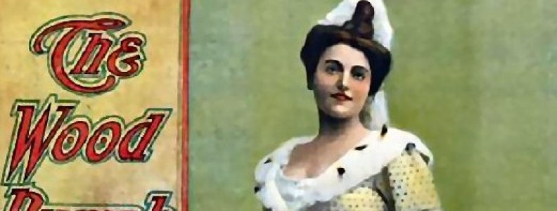 Opera Companies Produced the Initial American Operettas