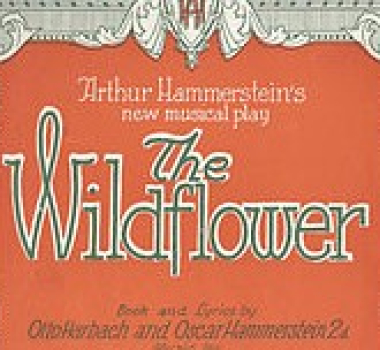 WILDFLOWER (1923)