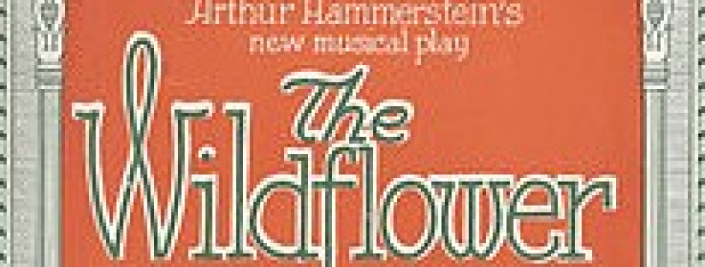 WILDFLOWER (1923)
