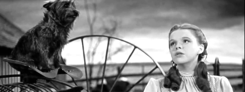 E.Y. Harburg–One of Our Best Lyricists